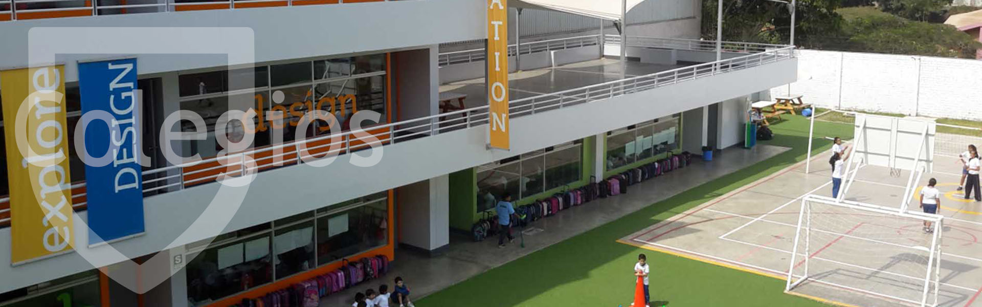 profesor particular colegios