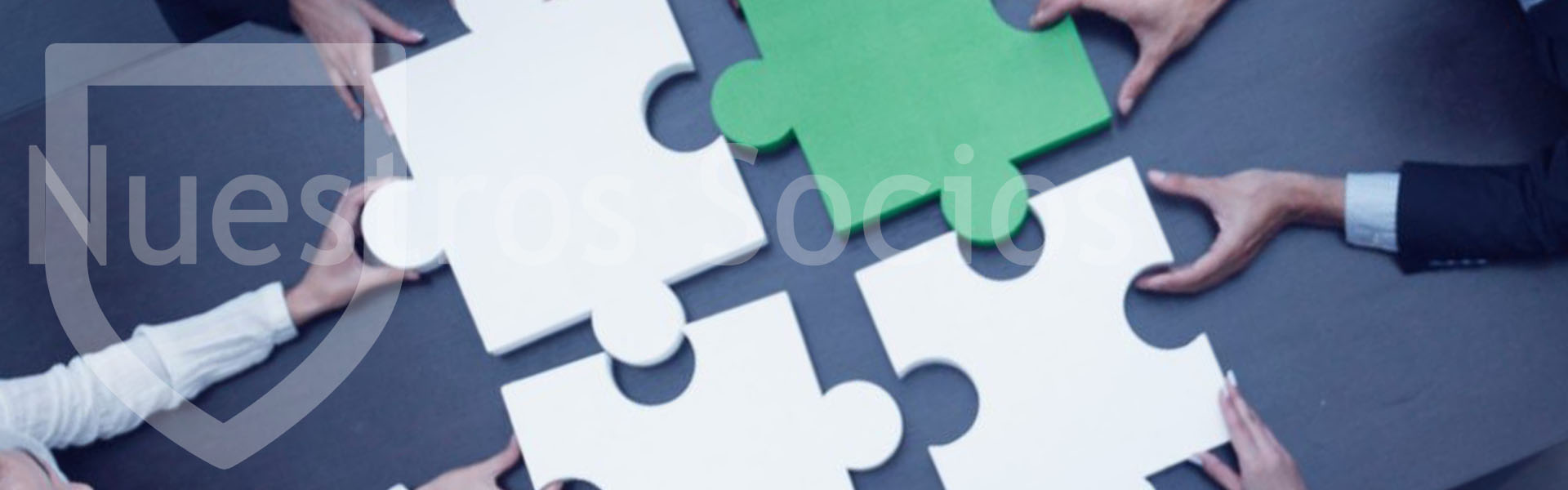 profesor particular colegios