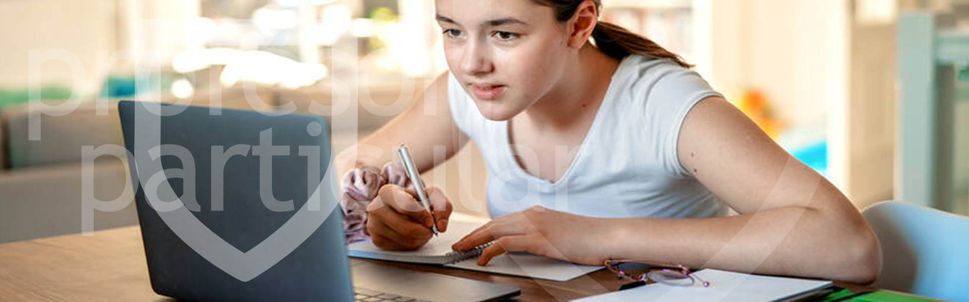 Profesor Online clases personalizadas